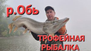 Летние трофеи. Рыбалка на р.Обь в коряжнике на джиг. ОЛТА МАГНУМ.