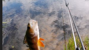 Рыбалка на херабуну.  Озеро Перчучное.