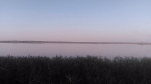 VID_20250822_183254.mp4