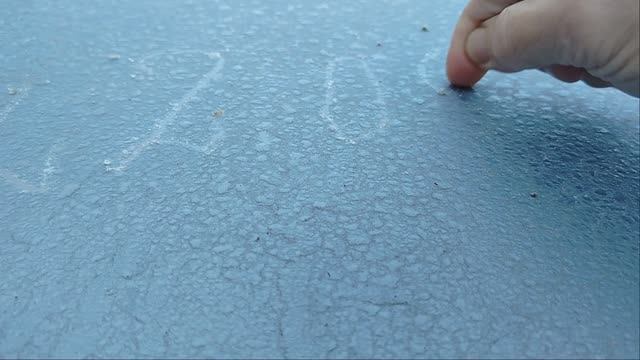 22.09.2024 Первый заморозок.Эпизоды моего дня. смотреть онлайн