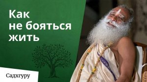 Наслаждайтесь непредсказуемостью жизни