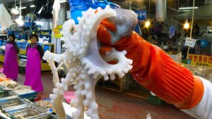 Корейский рыбный рынок, осьминог, ломтики сырого осьминога