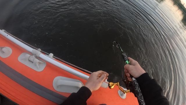 сом на квок 21 августа