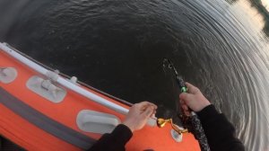 сом на квок 21 августа