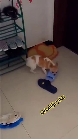 Возмущён до глубины души!