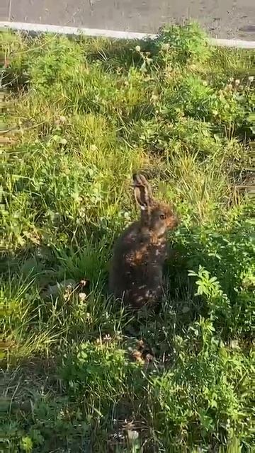 Рядом с природой.mp4 смотреть онлайн
