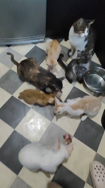 небольшое Хоум видео с вкусняшками