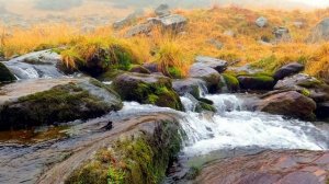 Музыка для расслабления.