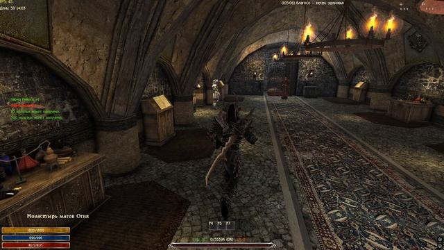 Баг с книгами (Залы Ирдората - Жертвенные души)