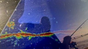 Рыбалка с актив таргет. Поймал-отпустил.