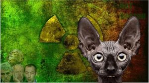 Сводки с фронтОв с Котом Костяном