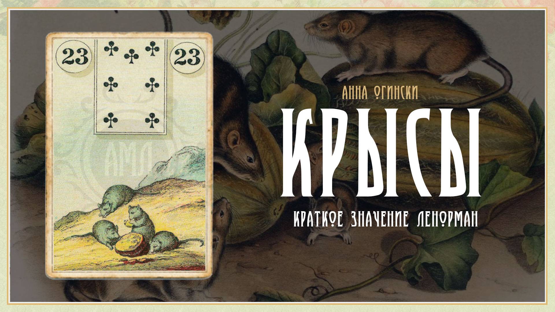 Значение Ленорман: Крысы (Мыши) смотреть онлайн