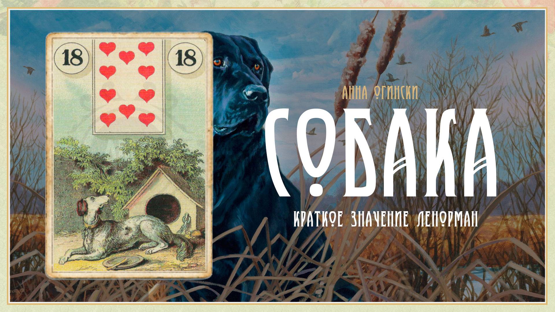 Значение Ленорман: Собака смотреть онлайн