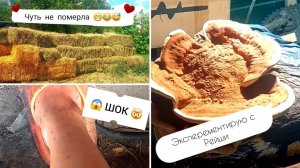 ЛЮЦЕРНУ купили  - ДОРОГО 💲, но МНОГО 😁