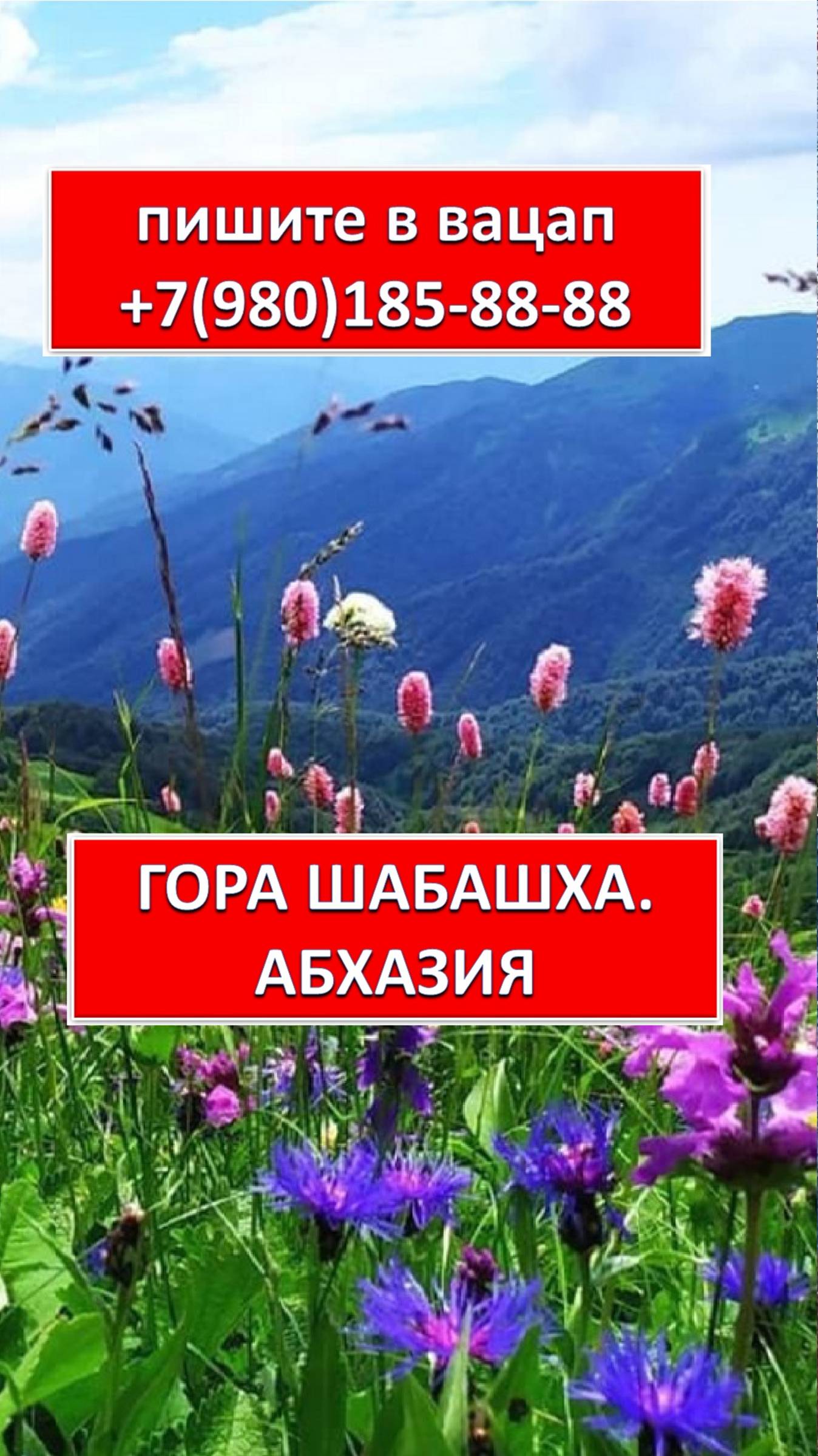 ГОРА ШАБАШХА. АБХАЗИЯ