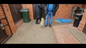 Растём вместе с Нильсом 8 лет 6 месяцев