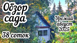 Живу в саду с 50-ти летней историей 🌳 Какой собираю урожай 🍎 Воры в моем саду 😱