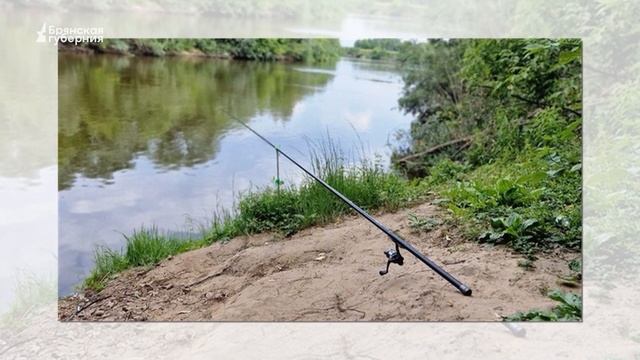 Брянская губерния. Кража рыбы в Навле смотреть онлайн