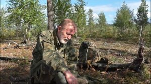 О медведях. Повтор. Напоминание. 2023.