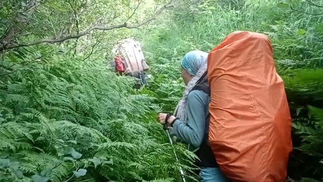 Нравится жизнь 🏕⛰️🗺