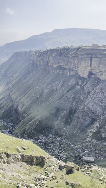 Горные коровки.