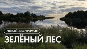 Онлайн-экскурсия по посёлку «Зелёный лес»