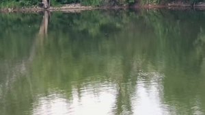 ПРИРОДА ЛЕЧИТ БОЛЬ УКРАДКОЙ.. ЛЕГКО КАСАЕТСЯ ДУШИ... И НЕРАЗГАДАННОЙ ЗАГАДКОЙ ЕЁ НАПЕВ ЗВУЧИТ В ТИШИ