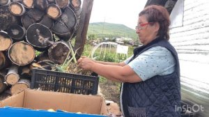 Работа начинается и сразу бросается