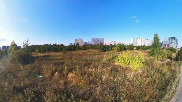 4245016 смотреть онлайн