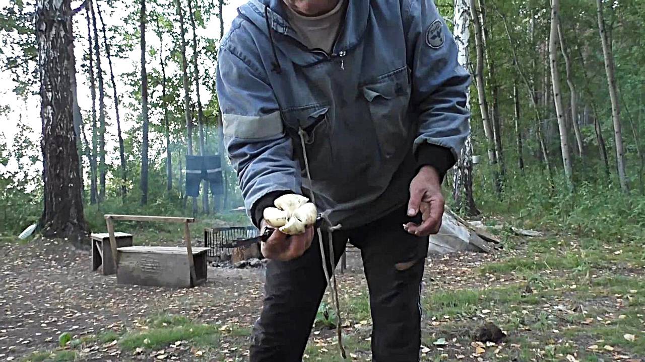 Грибные денечки Сибирского лета. Грибы и Рыбалка всегда рядом смотреть онлайн