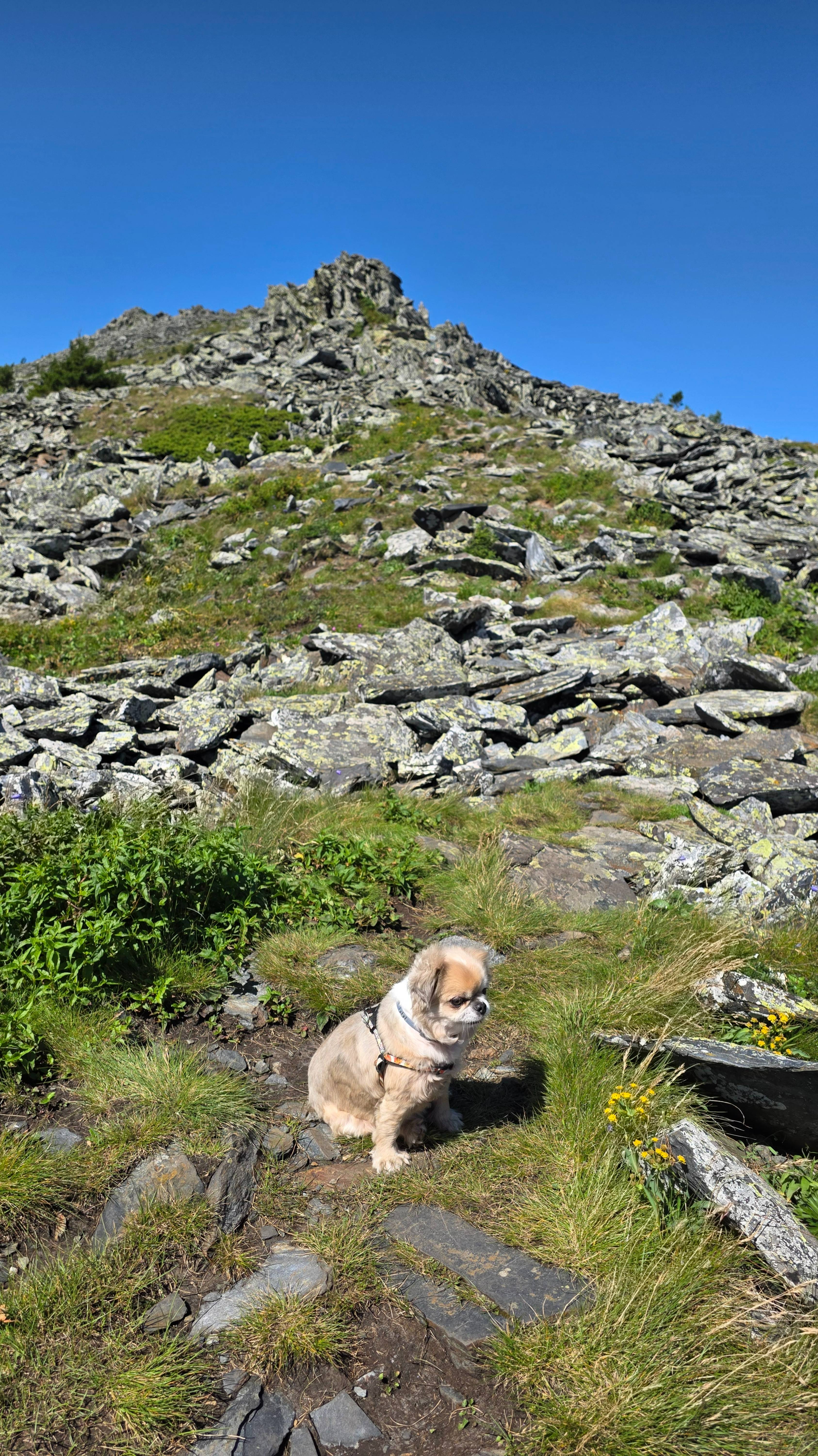 Уреньга. Вторая сопка. Челябинская область