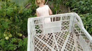 СОБРАЛИ ТОГО ДРУГОГО ПОЛУЧИЛОСЬ👍 КУШАЕМ НА СВЕЖЕМ ВОЗДУХЕ.