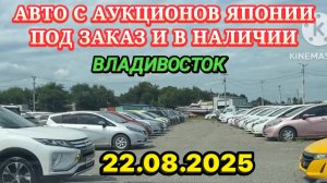 Авто из Японии под Заказ в Наличии Авторынок Новый Кей Кар Хэтчбек Минивэн Кроссовер Универсал Седан
