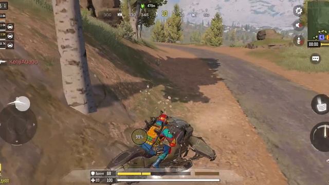 играю в call of duty 4