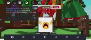 Рисовые❎Овощные плантации