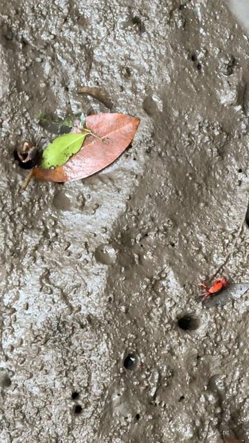 Просто нет слов - Таиланд смотреть онлайн