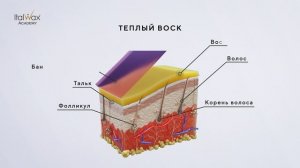 7. Принцип депиляции_озвучка