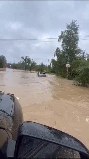 Nissan leaf амфибия плавает