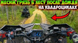 МЕСИМ ГРЯЗЬ В ЛЕСУ НА КВАДРОЦИКЛАХ!? ПОКАТУШКА ПОСЛЕ ДОЖДЯ!