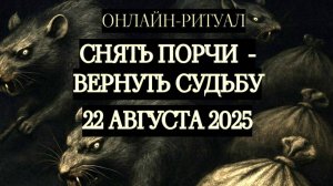 22.08.2025  - ВЕРНУТЬ СЕБЕ СУДЬБУ (КОРРЕКЦИЯ) ЧИСТКА + ОБРАТКА
