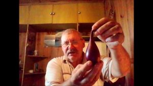 Лук сорт РЕД БАРОН