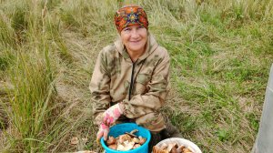 В лес за грибами🙋🍄🟫 // сколько Грибов 🤷// красота в лесу //