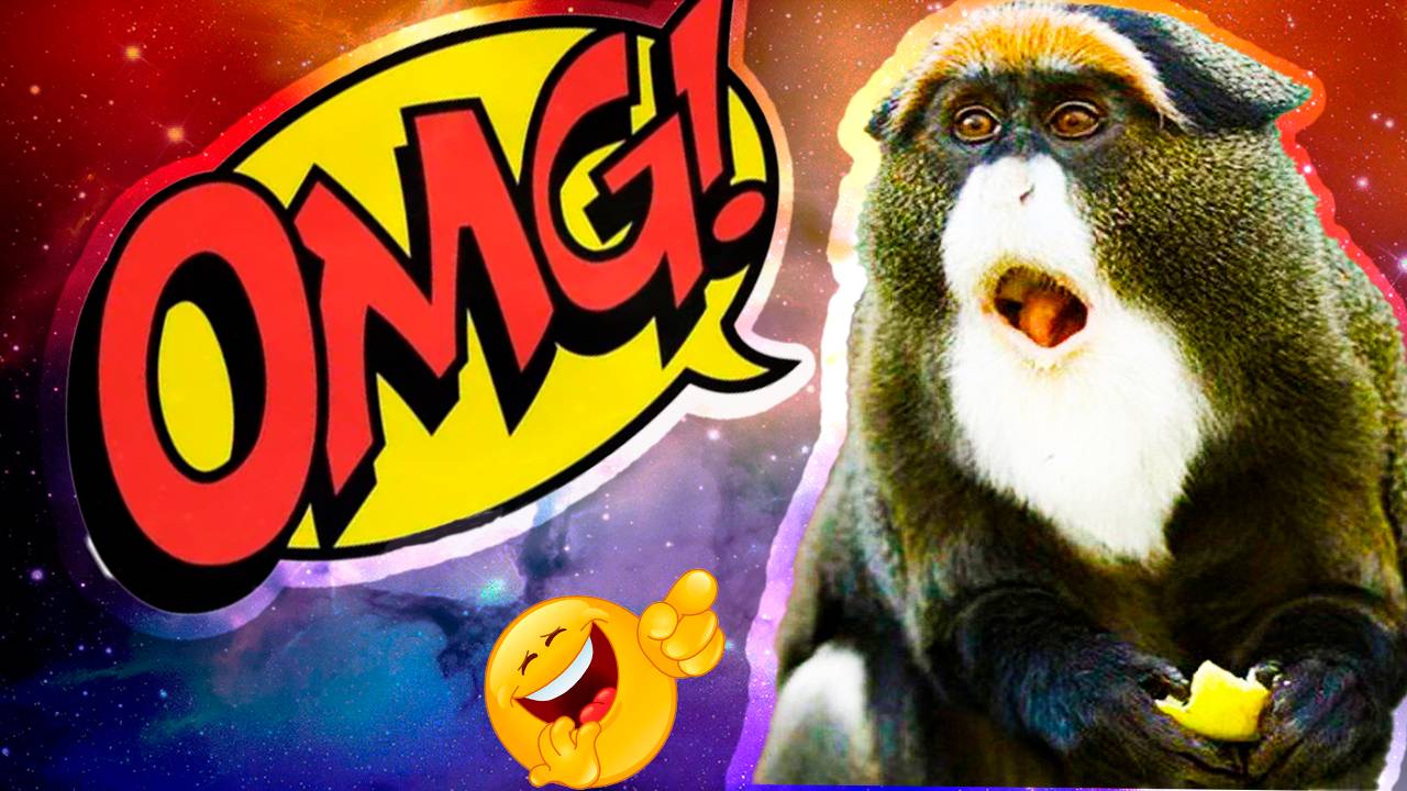 ЛУЧШИЕ ПРИКОЛЫ АВГУСТ 2025 | ПОПРОБУЙ НЕ ЗАСМЕЯТЬСЯ | ТЕСТ НА ПСИХИКУ | РЖАКА ДО СЛЕЗ смотреть онлайн