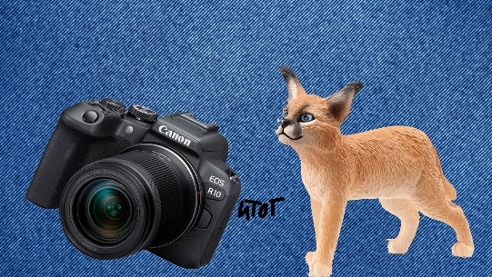 Шляйх итоги лета