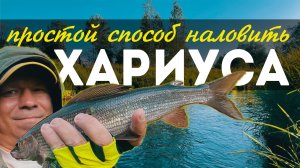 🔥ЭТОТ МЕТОД РАБОТАЕТ даже на БЫСТРОЙ ЛЕСНОЙ РЕЧКЕ. Разбор снастей и тактики ловли #мормышинг