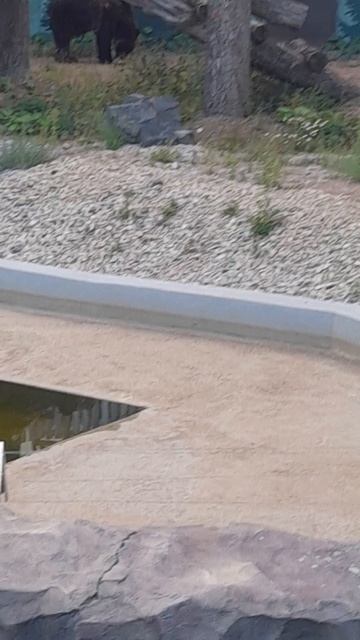 Второй тоже смотреть онлайн