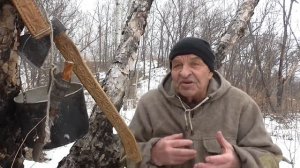 Почему собаки не едят уток