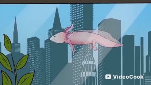 [ Детектив Войд ] SCP - 1371 Необычно плавающая анфибия (Анимация SCP)