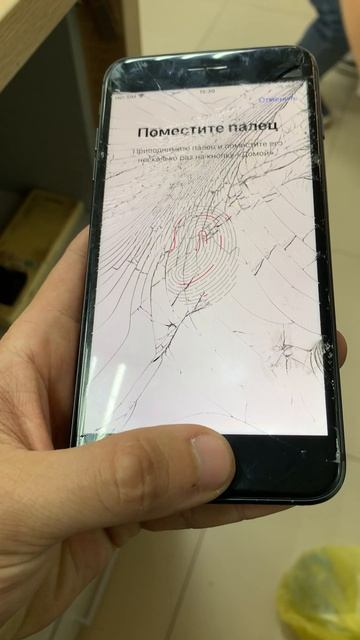 iPhone 8 Plus смотреть онлайн