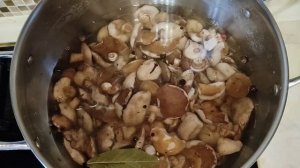 Опята, Маслята маринованные на зиму